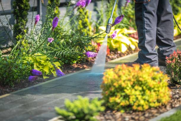 Best Pre-Holiday Cleaning  in White Bear Lake, MN