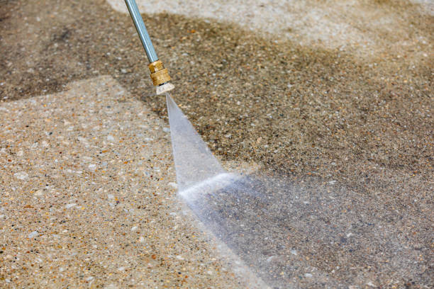 Best Animal Enclosure Cleaning  in White Bear Lake, MN