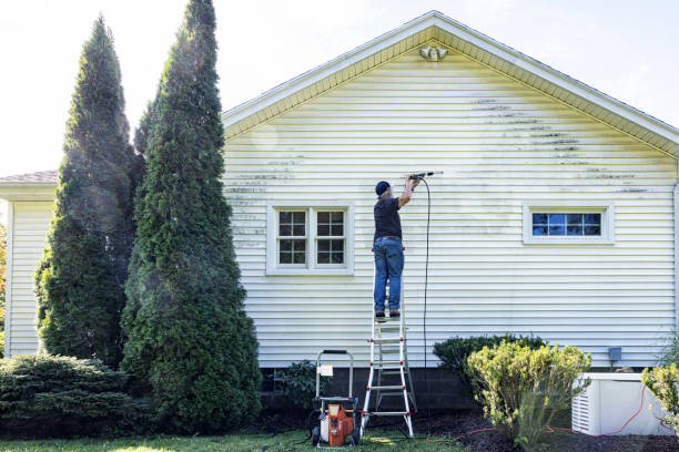 Best Fence Cleaning  in White Bear Lake, MN