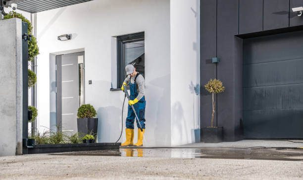 Best Gutter Cleaning  in White Bear Lake, MN